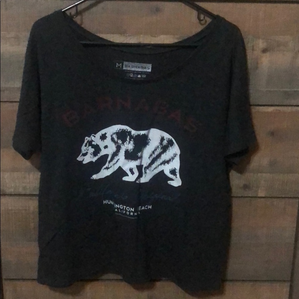 Medium Gray Barnabas T-shirt